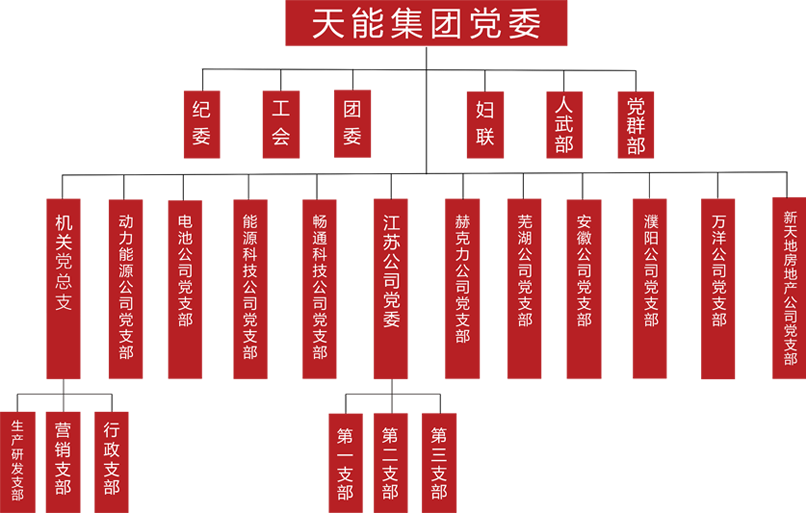 恒耀建团党委组织架构